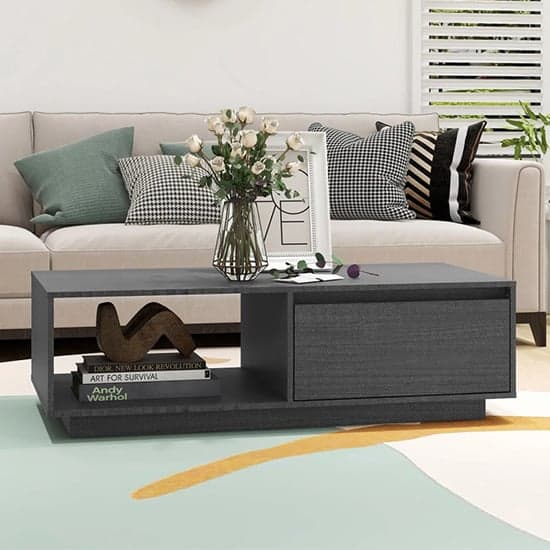 Tevie Solid Pinewood Coffee Table With 1 Door In Grey_1