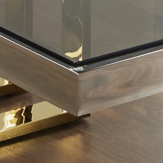 Troy Grey Glass Coffee Table With Gold And Silver Metal Frame_3