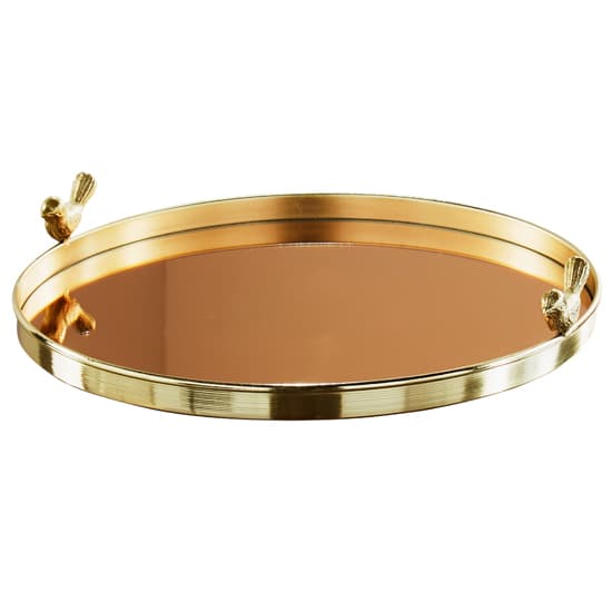 Vernon Rose Gold Mirrored Tray With Stainless Steel Frame_3