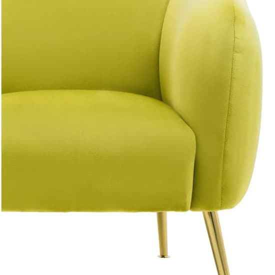 York Velvet Armchair In Olive With Gold Metal Legs_5