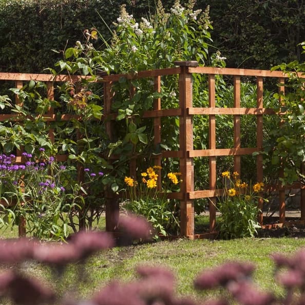 Hizo Wooden Garden Dip Treated Trellis In Honey Brown 6x1