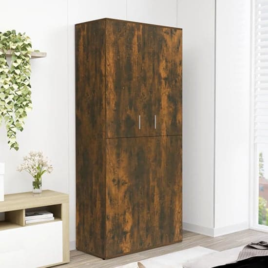 Newberry Wooden Shoe Storage Cabinet With 2 Doors In Smoked Oak