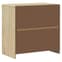 Newport Wooden Sideboard With 2 Doors 2 Drawers In Oak_6