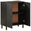 Rother Mango Wood Storage Cabinet With 2 Doors In Black_3