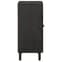 Rother Mango Wood Storage Cabinet With 2 Doors In Black_5