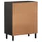 Rother Mango Wood Storage Cabinet With 2 Doors In Black_6