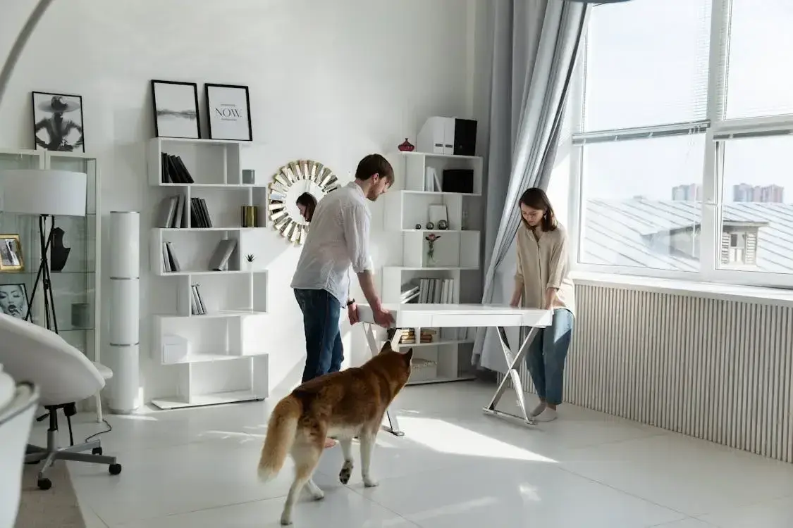 10 Easy Ways to Refresh Your Home on a Budget