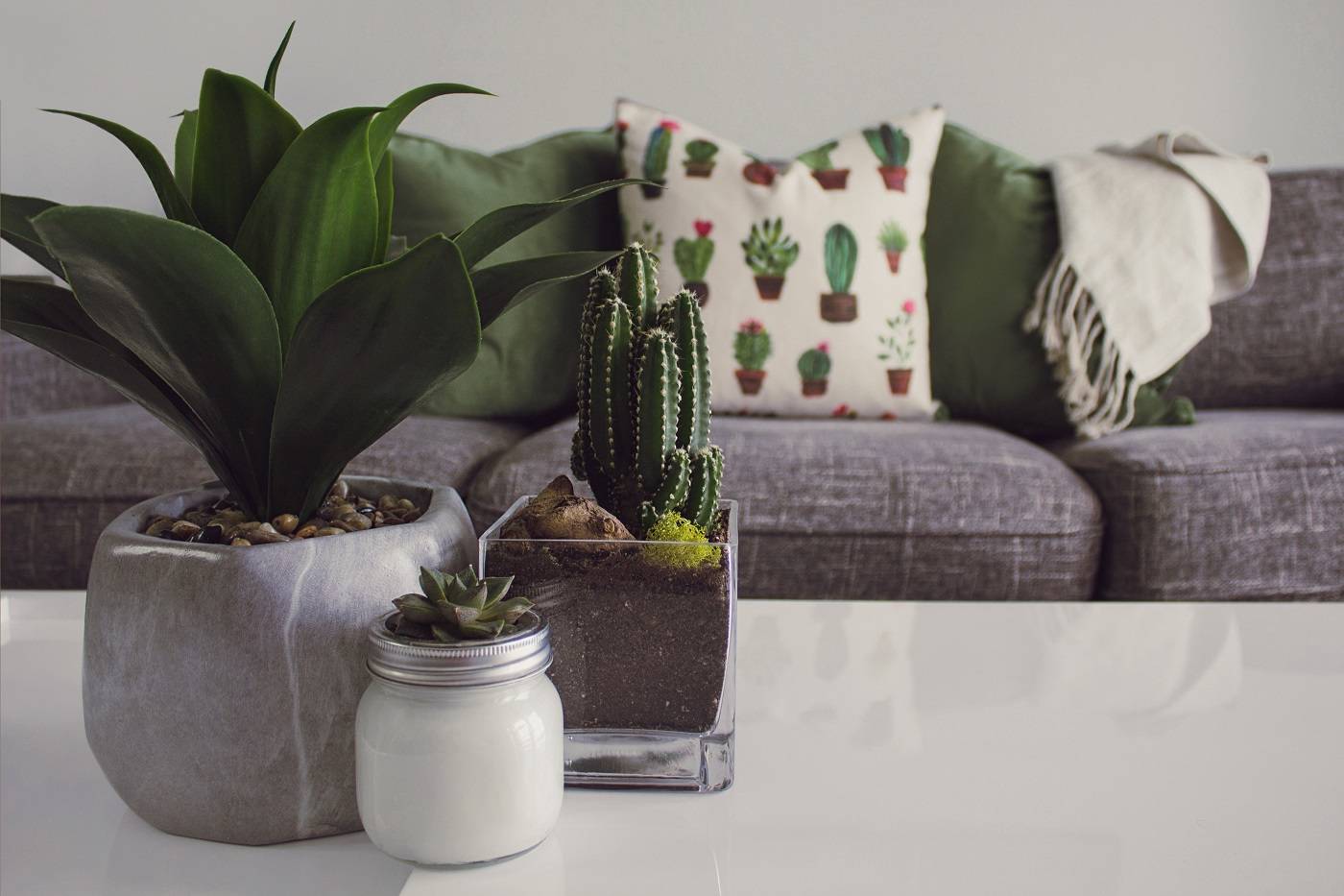 REGAIN YOUR ZEN: 9 steps to making your home a peaceful haven