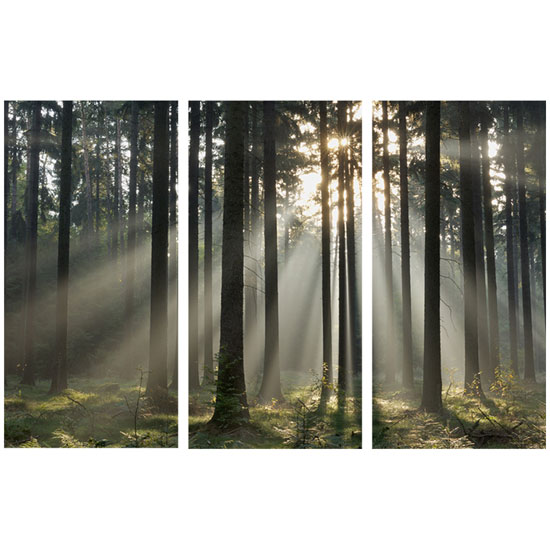 000302 Trees Triptych - What You Need To Hold A Corporate Event In A Beauty Salon To Increase Sales