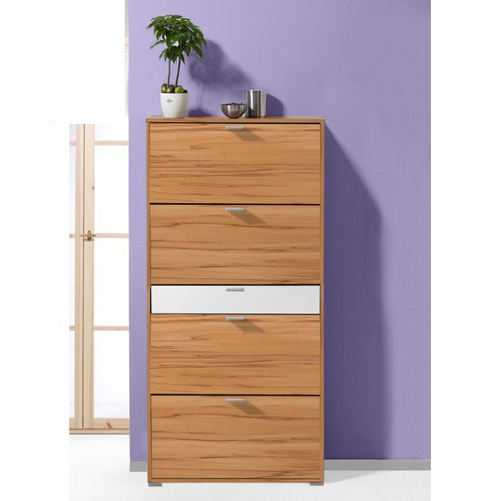 5 Tips To Build A Shoe Storage Cabinet 8654 17 11 shoe cab - 5 Tips To Build A Shoe Storage Cabinet