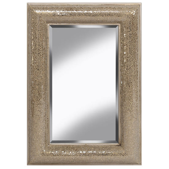 Zofia Decorative Wall Mirror Rectangular In Champagne 25689