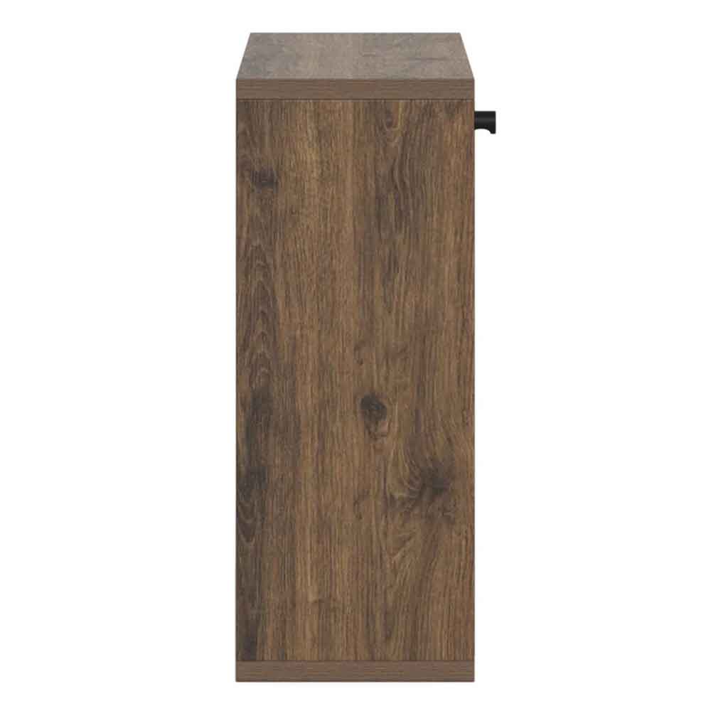 Abilene Wooden Wall Mounted Shoe Storage Cabinet in Smoked Oak