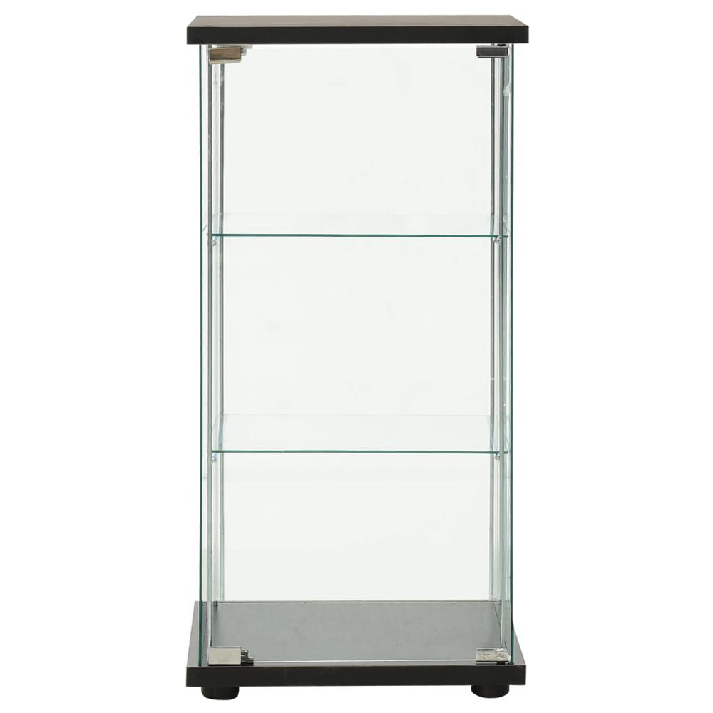 Absecon Black Shoe Storage Cabinet With Tempered Glass Frame