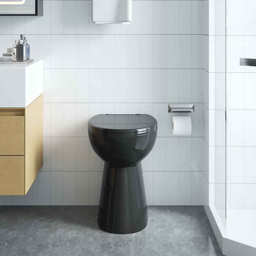 Adel Black Rimless Comfort Height Toilet - Soft Close Seat