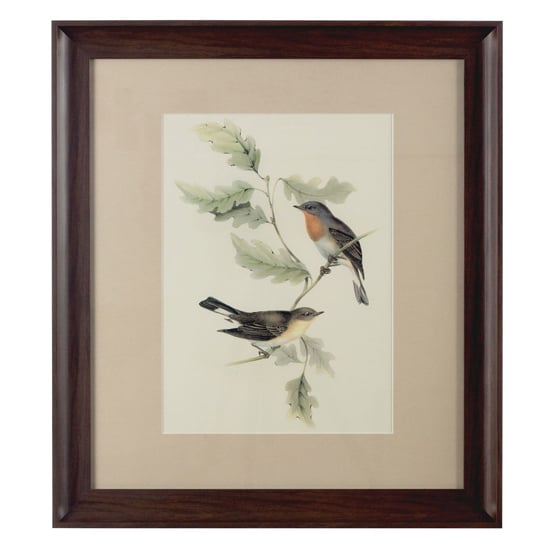 Agatiyo Framed Birds 2 Wall Art In Multi Coloured