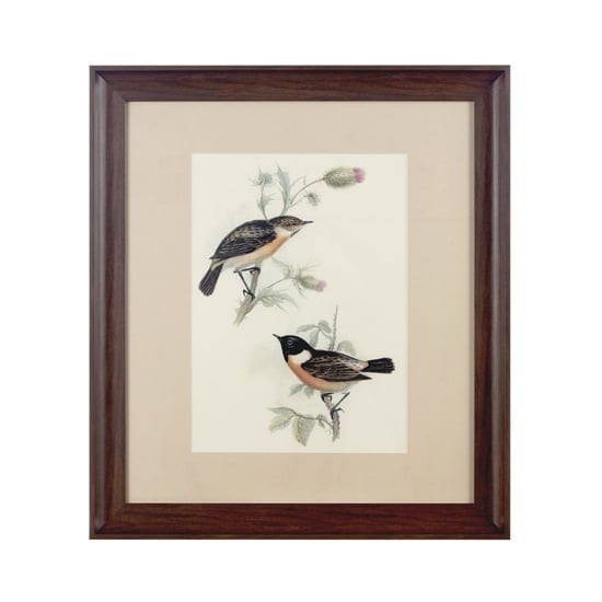 Read more about Agatiyo framed birds wall art in assorted