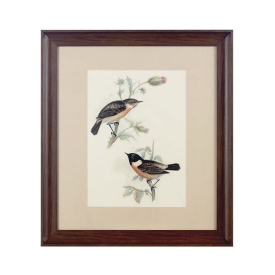 Agatiyo Framed Birds Wall Art In Assorted