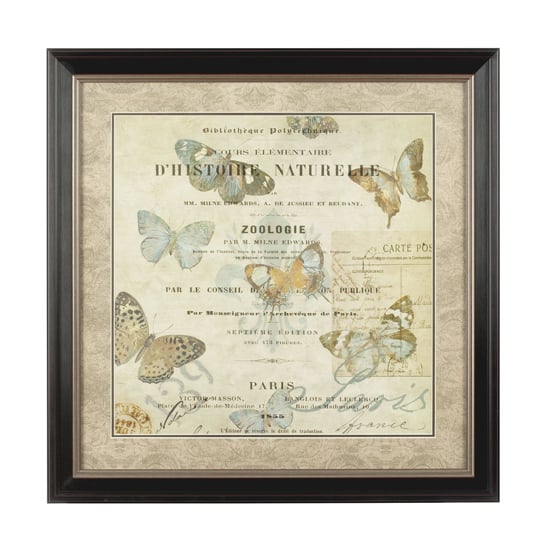Agatiyo Framed Charming Butterfly Wall Art In Assorted