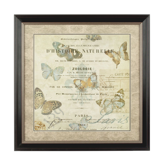 Product photograph of Agatiyo Framed Charming Butterfly Wall Art In Assorted from Furniture in Fashion