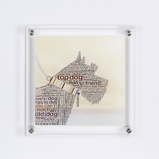 Product photograph of Agatiyo Scottie Wall Art Frame In Multicolor from Furniture in Fashion