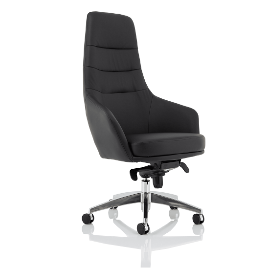 Agora Office Chair In Black With Fixed Arms And High Back_1