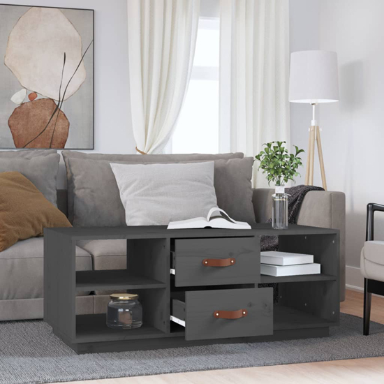 Aivar Pine Wood Coffee Table With 2 Drawers In Grey