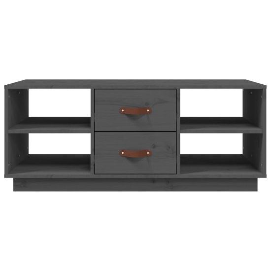Aivar Pine Wood Coffee Table With 2 Drawers In Grey