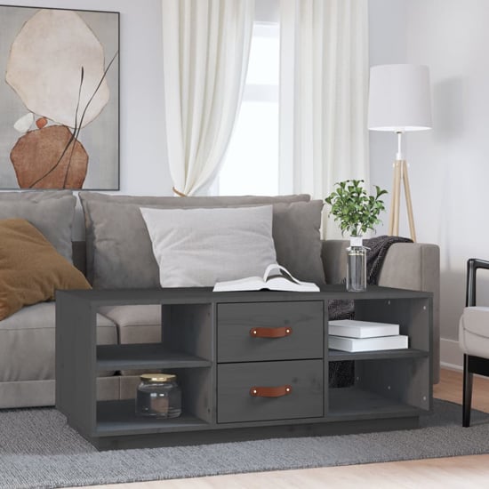Read more about Aivar pine wood coffee table with 2 drawers in grey