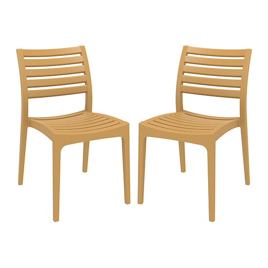 Albany Teak Polypropylene Dining Chairs In Pair