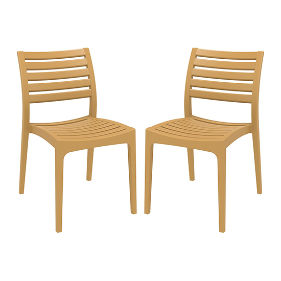 Albany Teak Polypropylene Dining Chairs In Pair