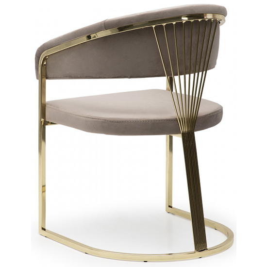 Alora Beige Velvet Dining Chairs With Gold Frame In Pair_4