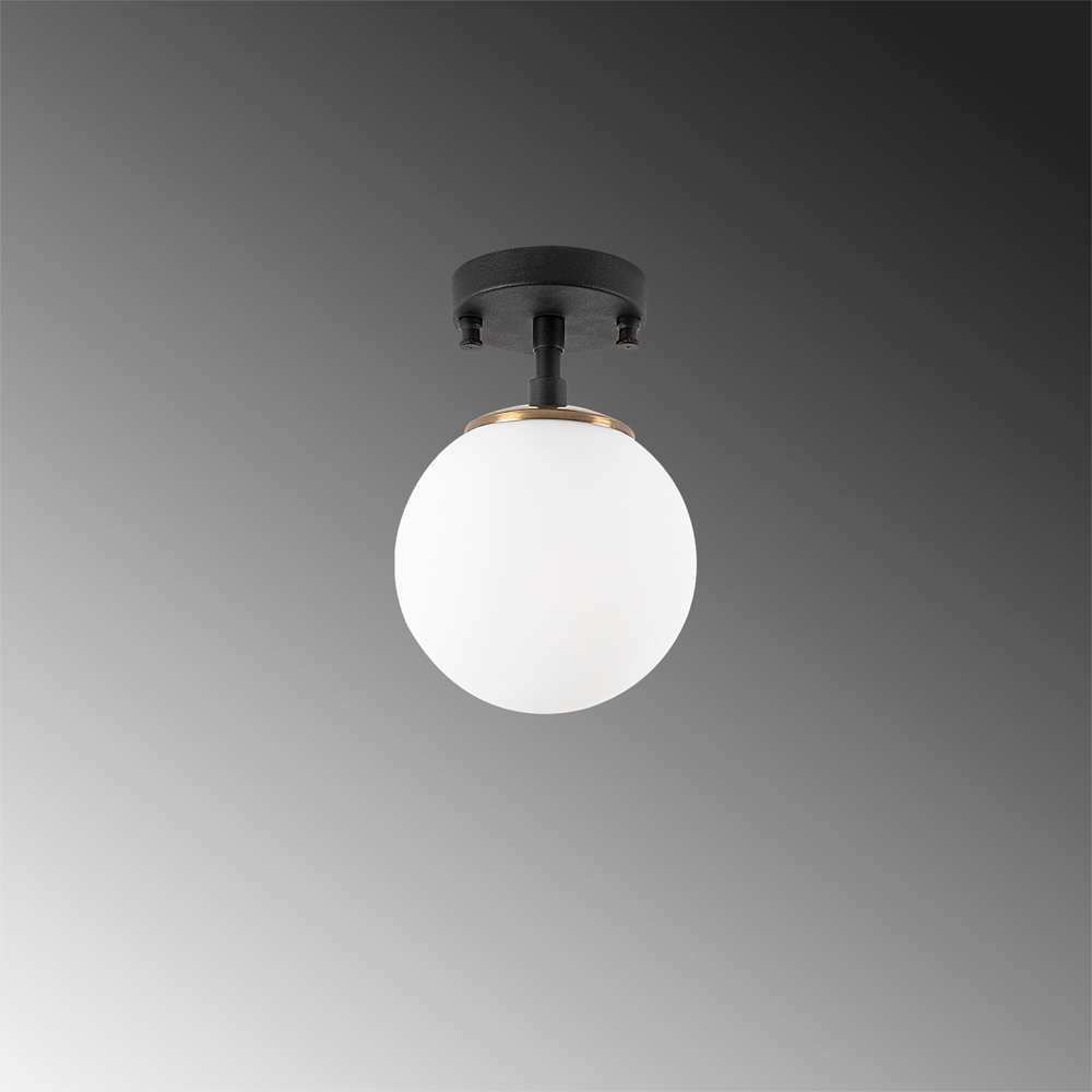 Atmaca Clear Glass Ceiling Light Bulb in Black