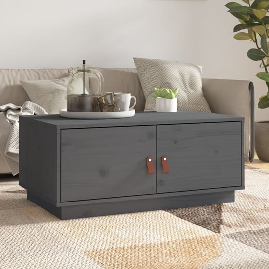Product photograph of Anicet Pinewood Coffee Table With 2 Doors In Grey from Furniture in Fashion