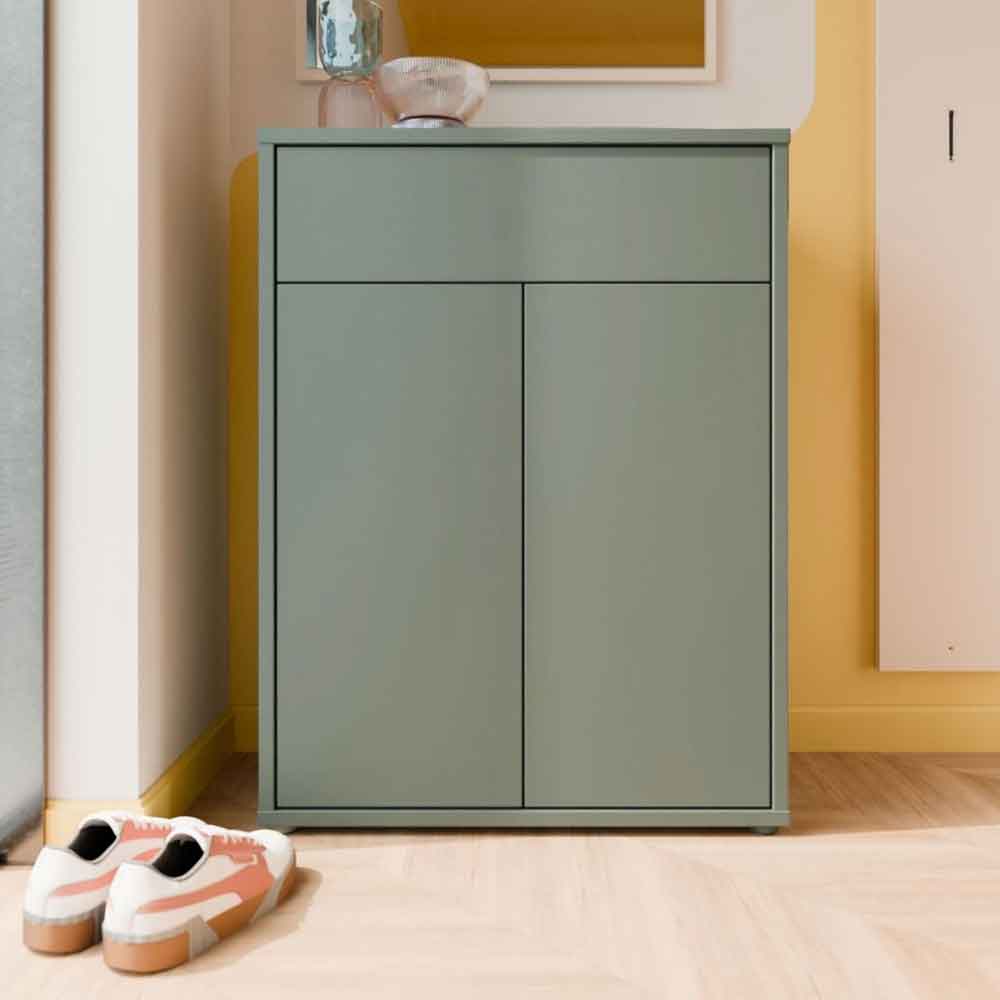 Ansley Wooden Compact Shoe Storage Cabinet with 2 Doors and 1 Drawer in Sage Green