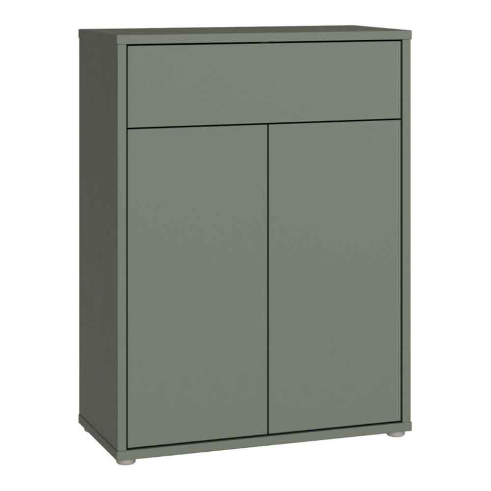 Ansley Wooden Compact Shoe Storage Cabinet with 2 Doors and 1 Drawer in Sage Green