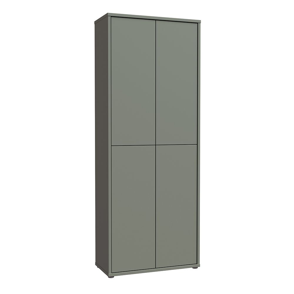 Ansley Wooden Display Cabinet with 4 Doors in Sage Green
