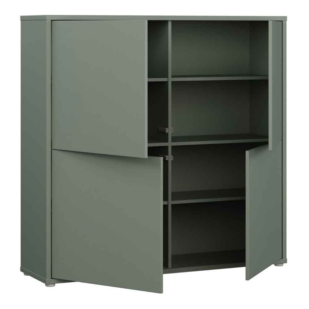 Ansley Wooden Large Storage Cabinet with 4 Doors in Sage Green
