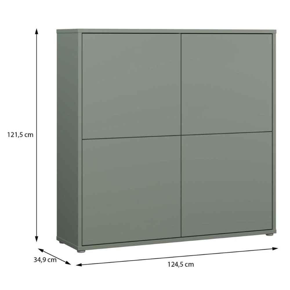 Ansley Wooden Large Storage Cabinet with 4 Doors in Sage Green