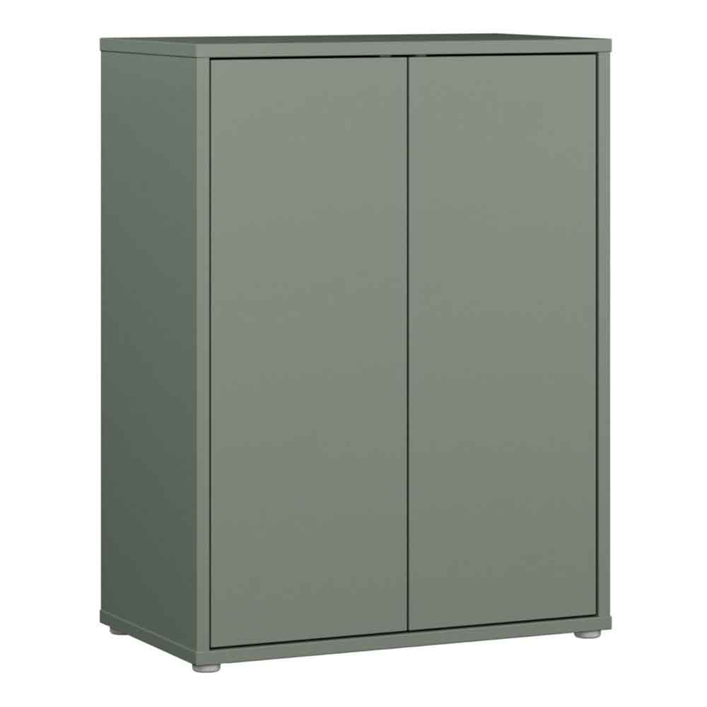 Ansley Wooden Storage Cabinet with 2 Doors in Sage Green