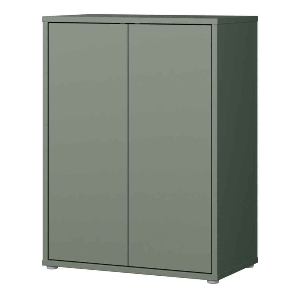 Ansley Wooden Storage Cabinet with 2 Doors in Sage Green