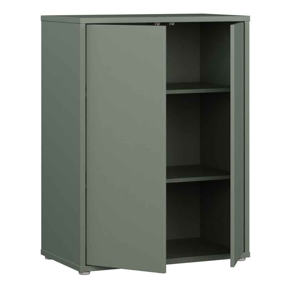 Ansley Wooden Storage Cabinet with 2 Doors in Sage Green