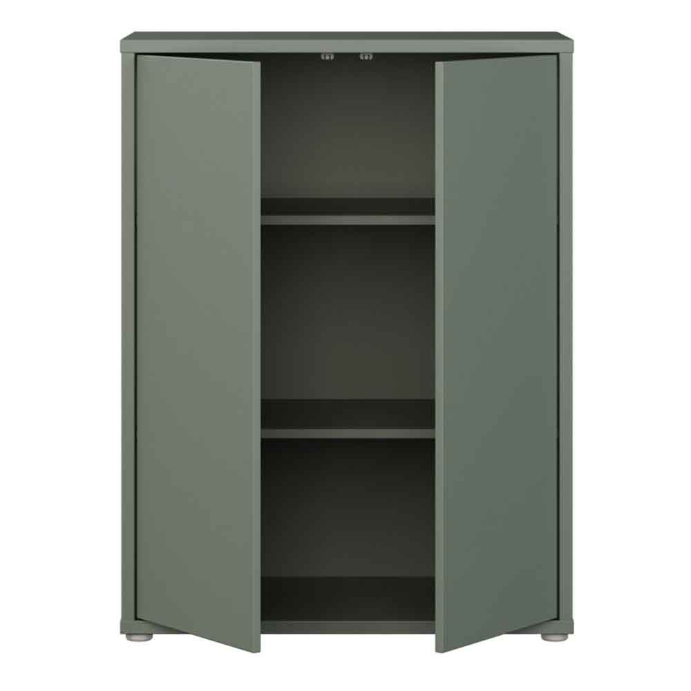 Ansley Wooden Storage Cabinet with 2 Doors in Sage Green