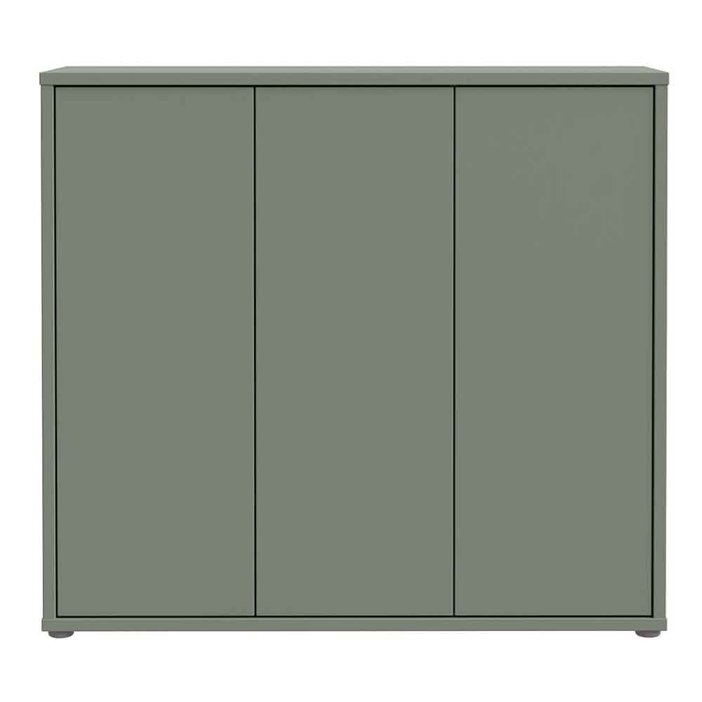 Ansley Wooden Storage Cabinet with 3 Doors in Sage Green