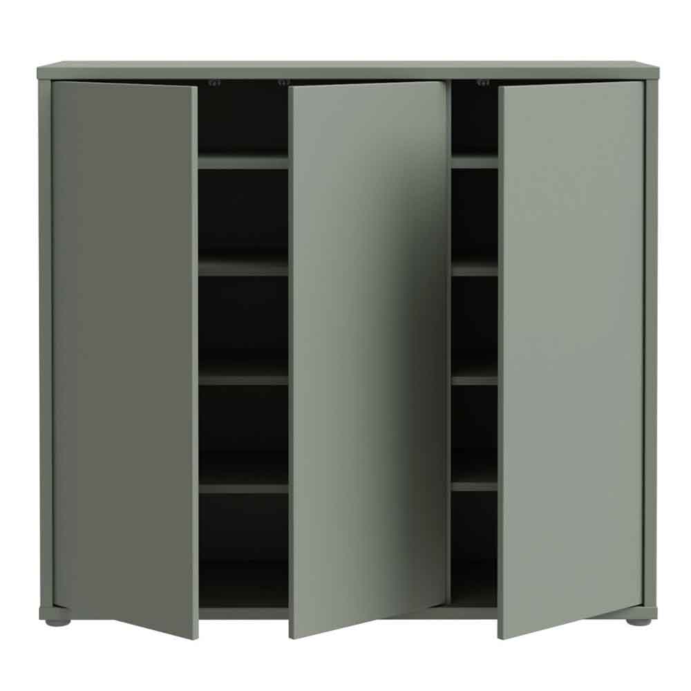 Ansley Wooden Storage Cabinet with 3 Doors in Sage Green