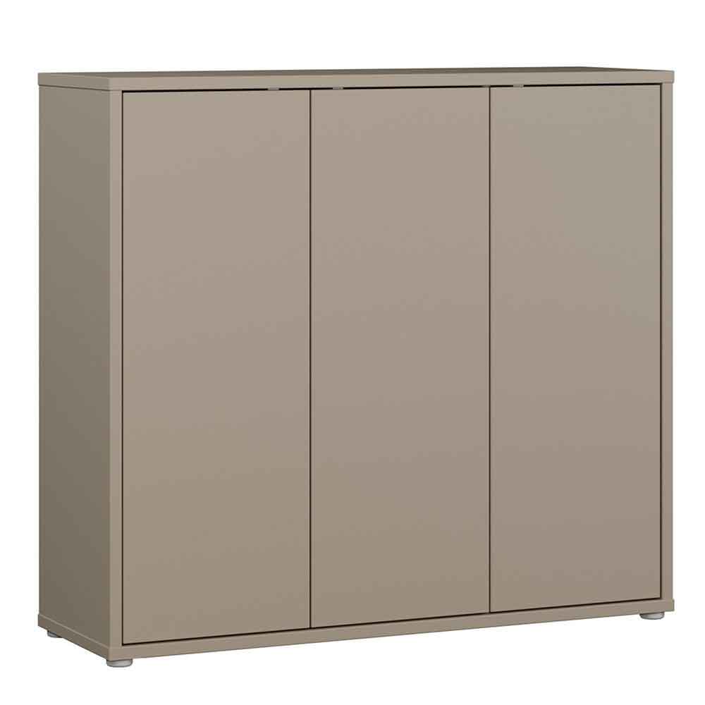 Ansley Wooden Storage Cabinet with 3 Doors in Taupe