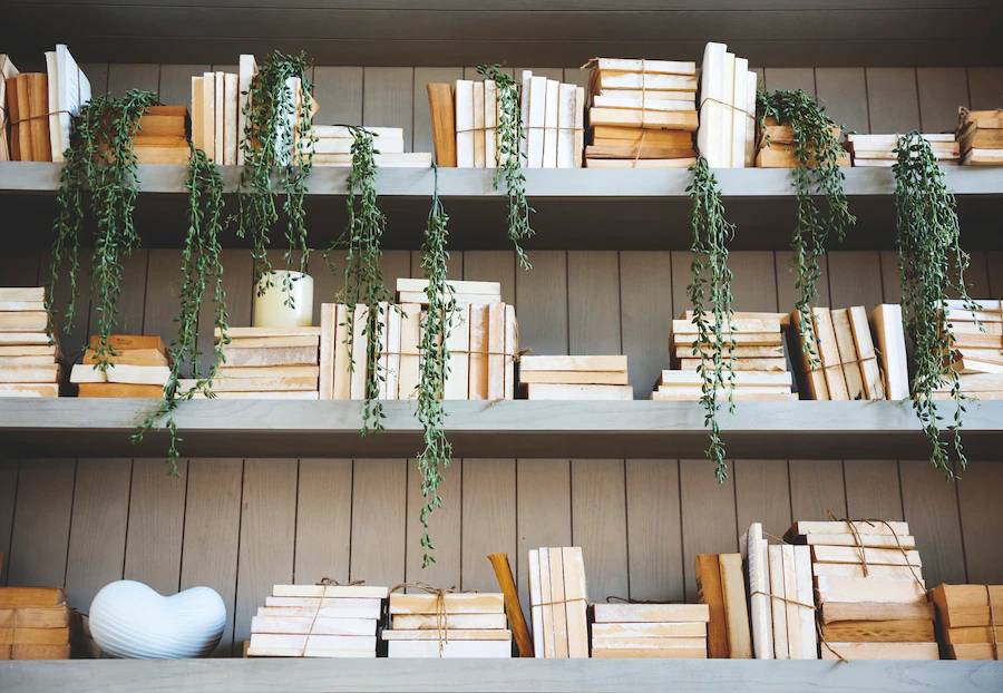 Can I put bookshelf in dining room