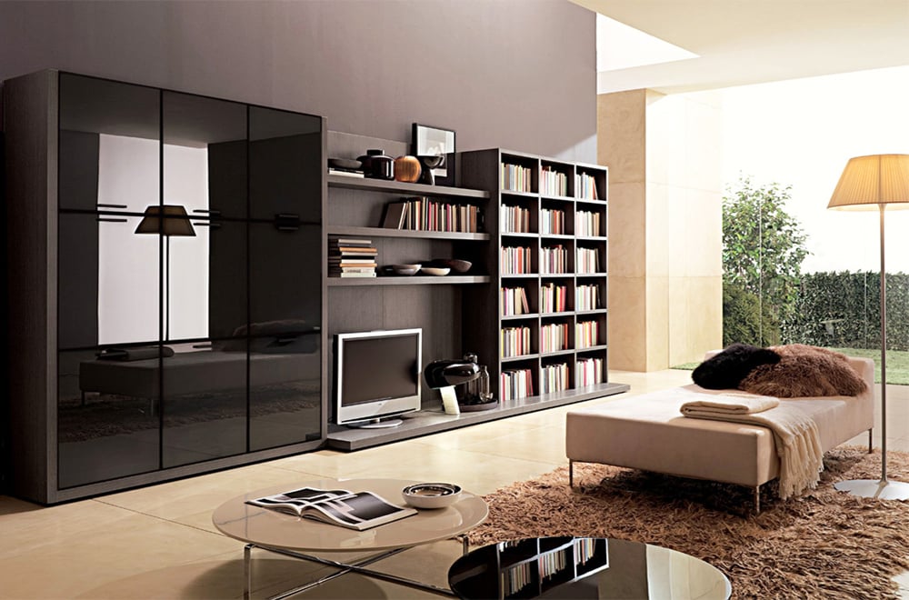 Living room storage cabinets with doors