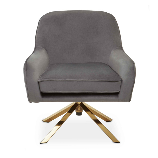 Asansol Velvet Lounge Chair With Gold Legs In Grey