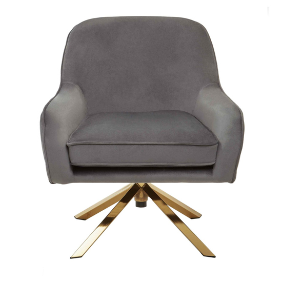 Asansol Velvet Lounge Chair With Gold Legs In Grey