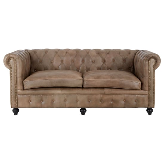 Australis Upholstered Leather 3 Seater Sofa In Light Brown_2